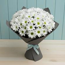Букет цветов из:  Хризантемы в Усть-Куломе