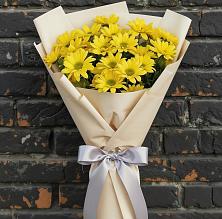 Букет цветов из:  Хризантемы в Усть-Куломе