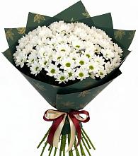 Букет цветов из:  Хризантемы #REPLACE_PRED# Усть-Куломе