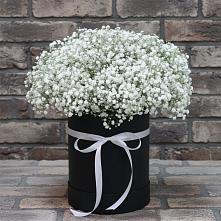 Цветочная композиция из Гипсофила в шляпной коробке в Усть-Куломе