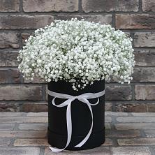Цветочная композиция из Гипсофила в шляпной коробке в Усть-Куломе