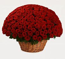 Премиум букет из: Розы в Усть-Куломе